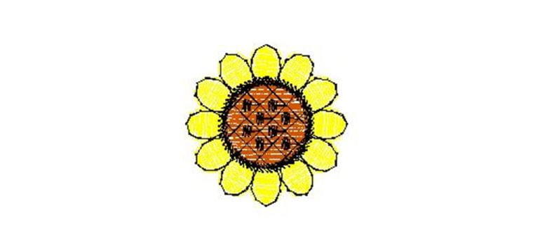 sun flower